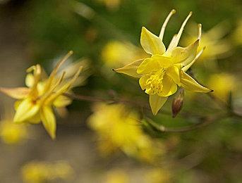 8人对战《DeathSprint 66》今年9月发售 支持中文